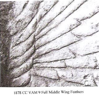 1878-CC VAM-9