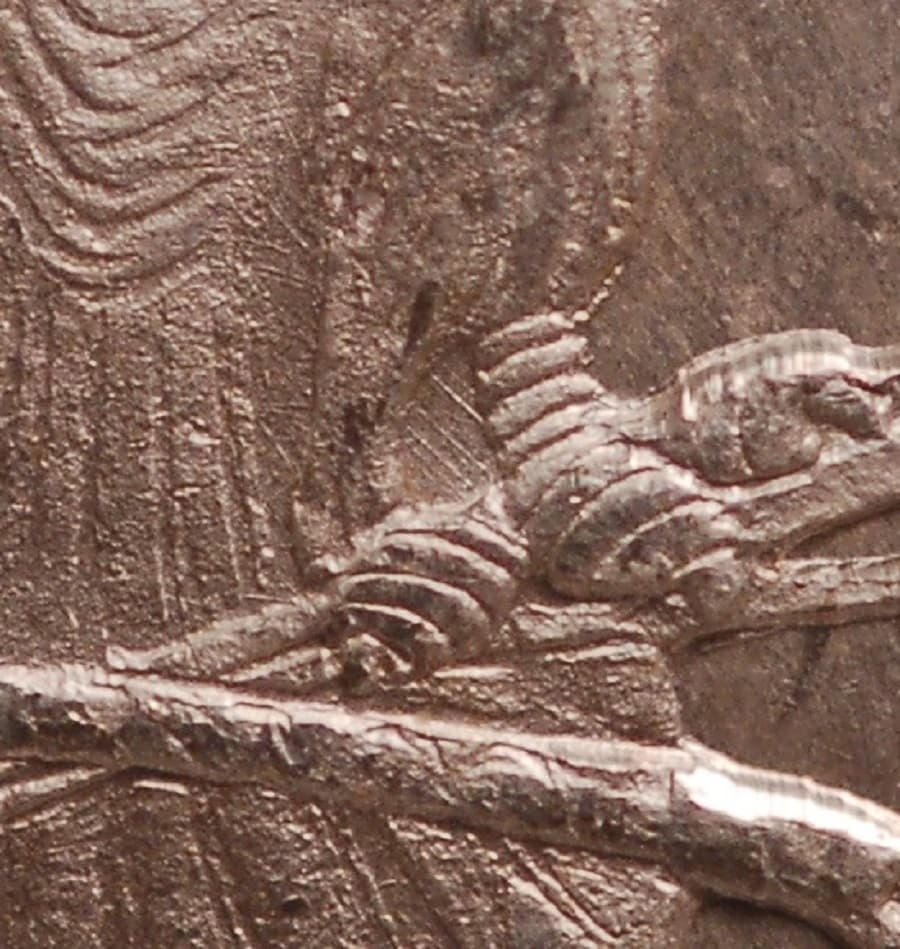 Image 9