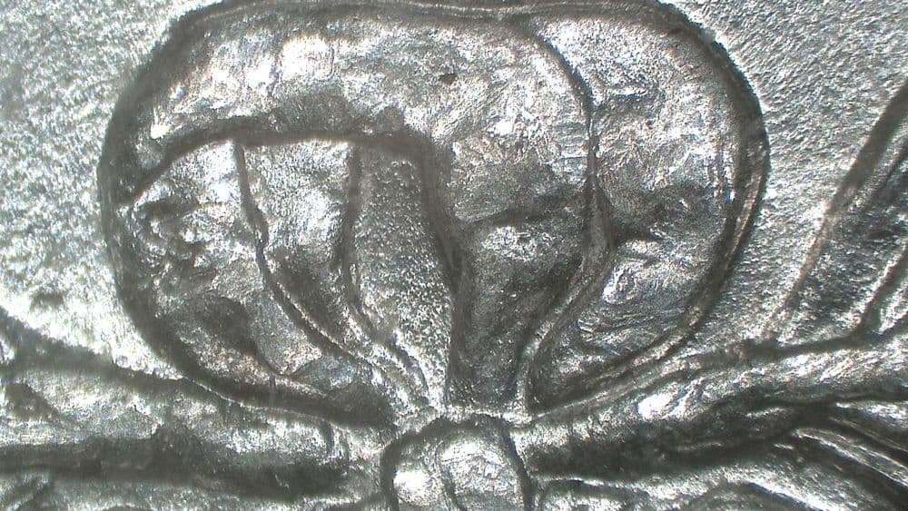 Image 9