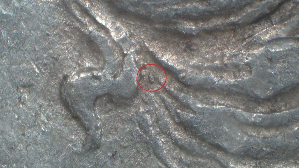 Image 4