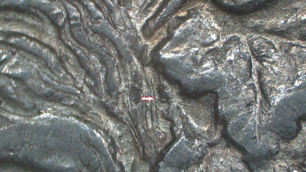 Image 9