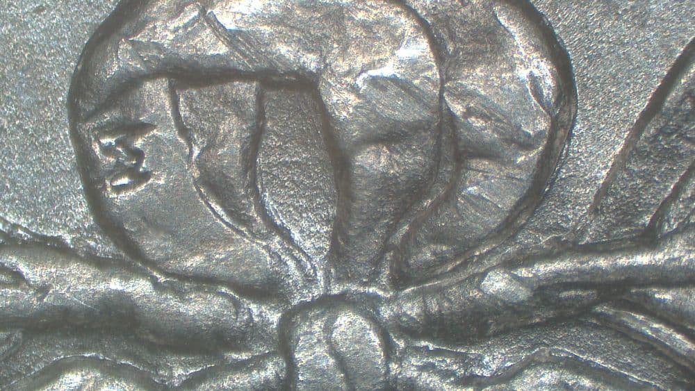 Image 9