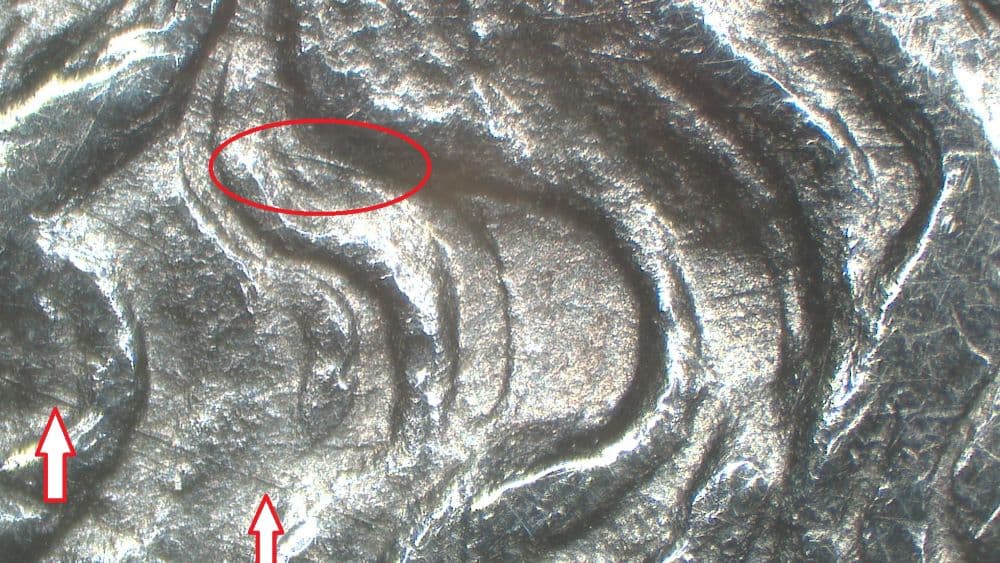 Image 9