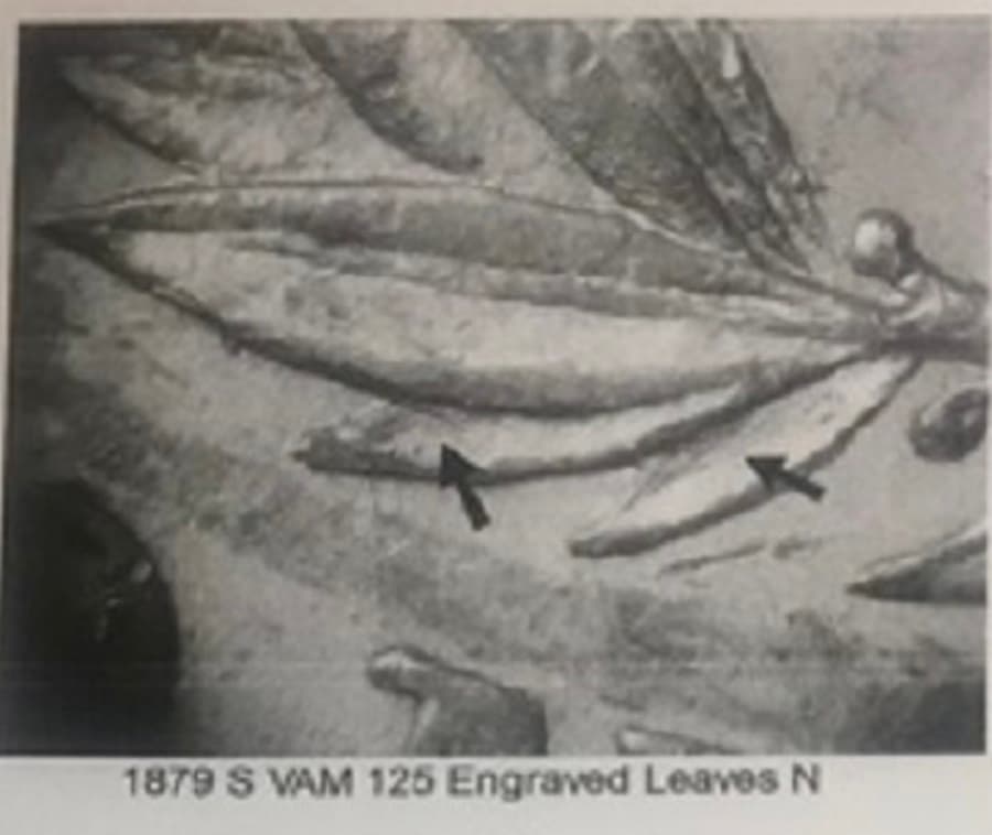 1879-S VAM-125