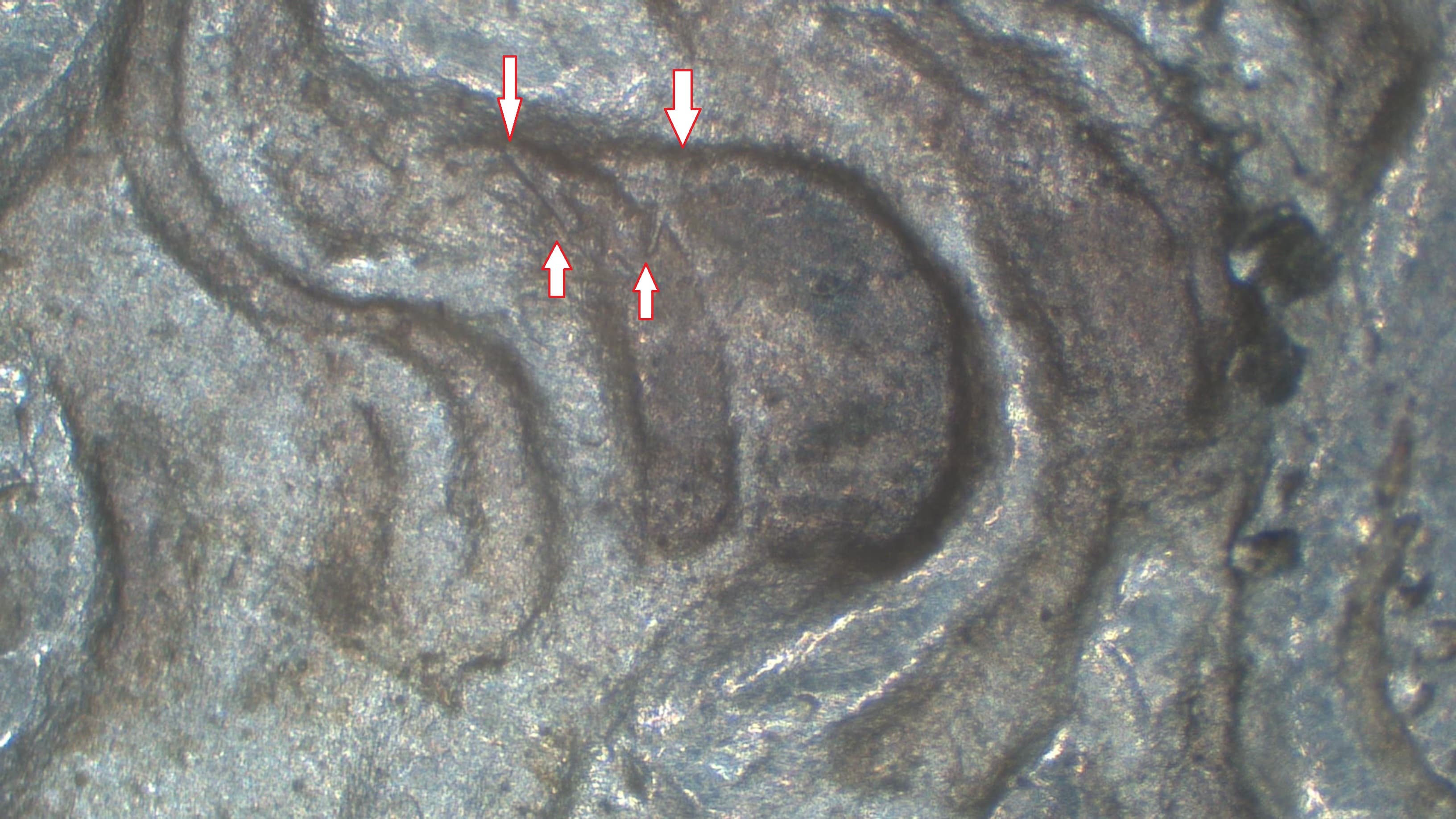 Image 9