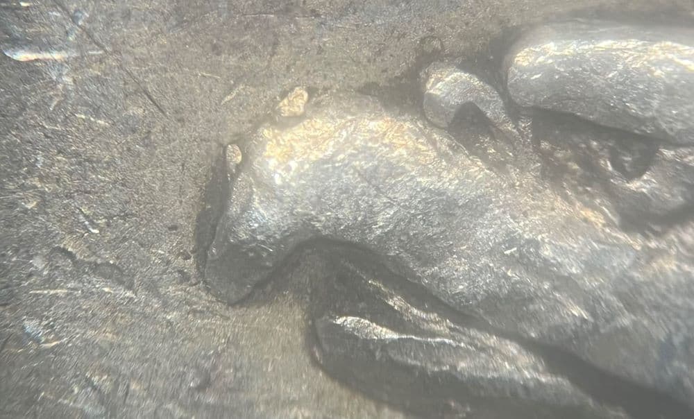 Image 10