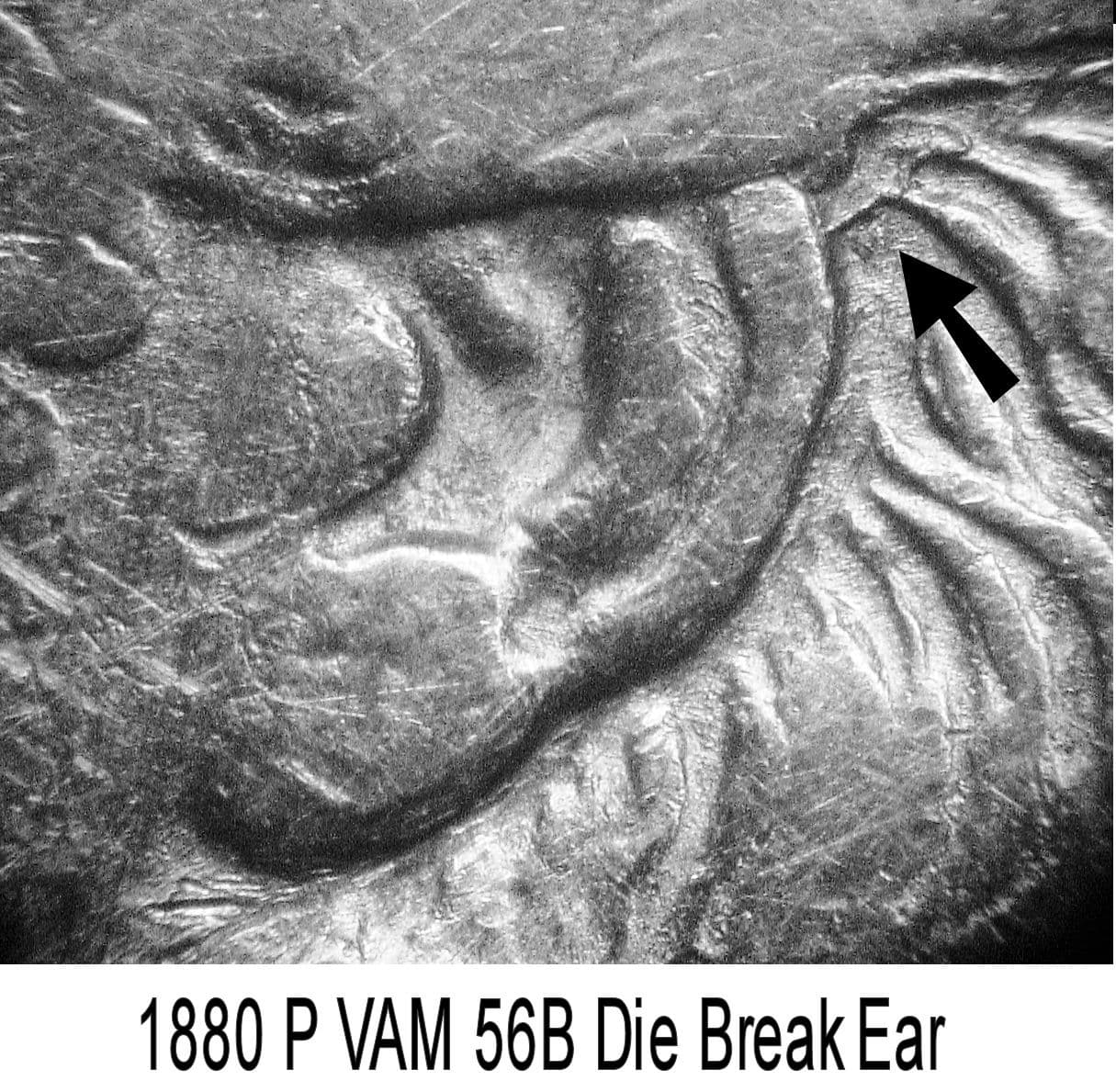 1880-P VAM-56B