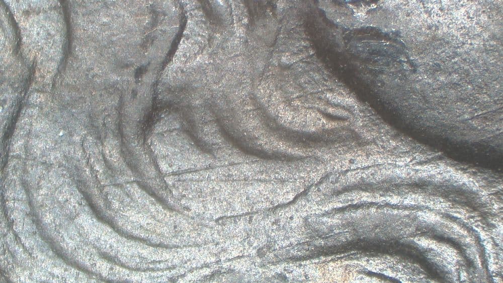 Image 9