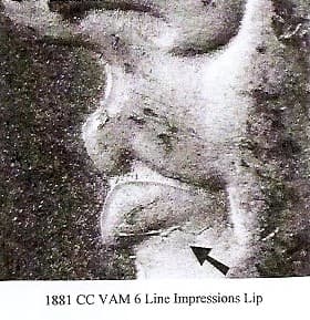 1881-CC VAM-6