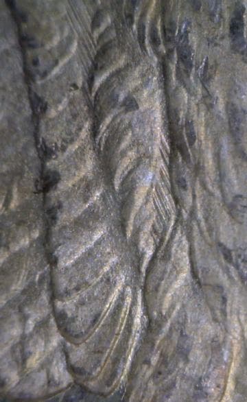 1881-O VAM-1G