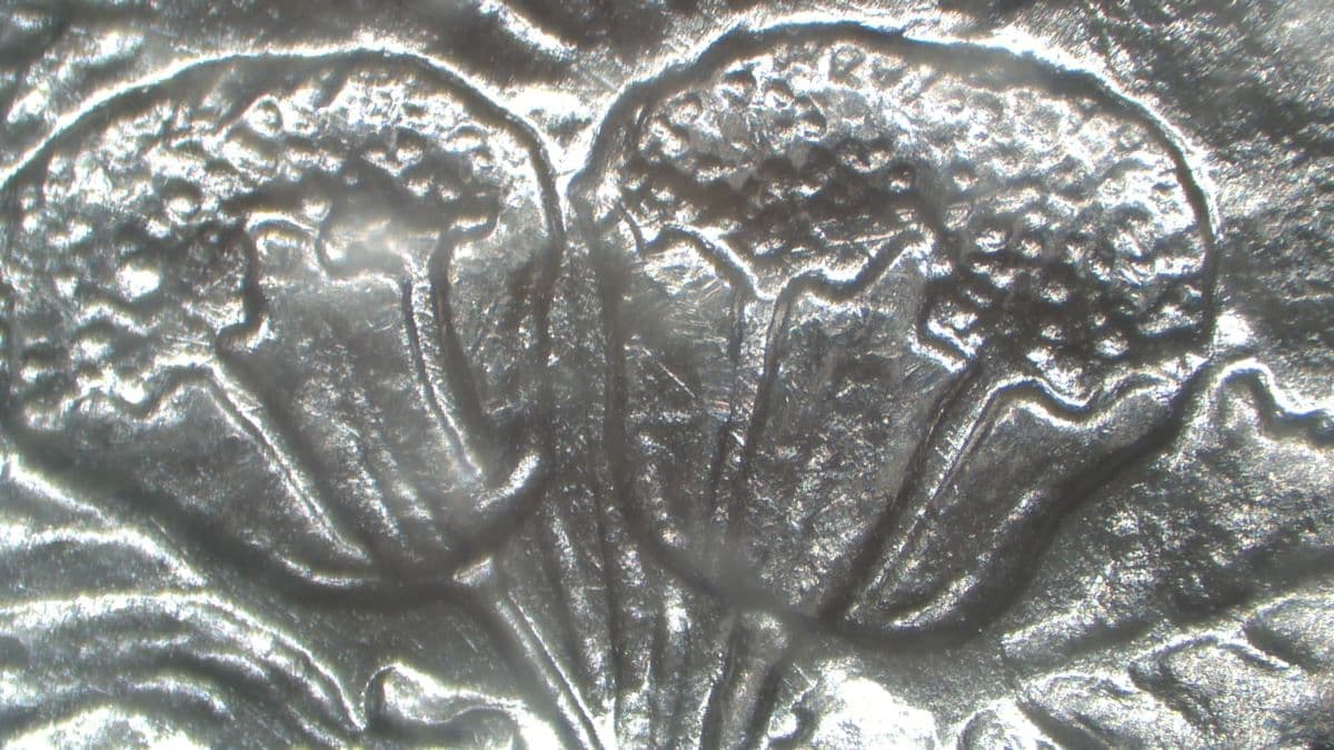Image 23