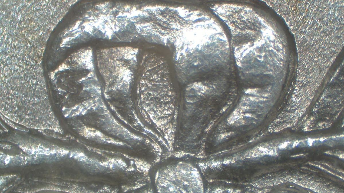 Image 24