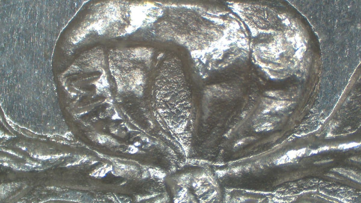 Image 9