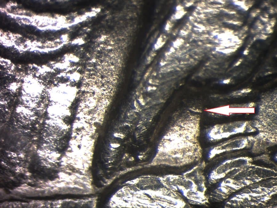 Image 9