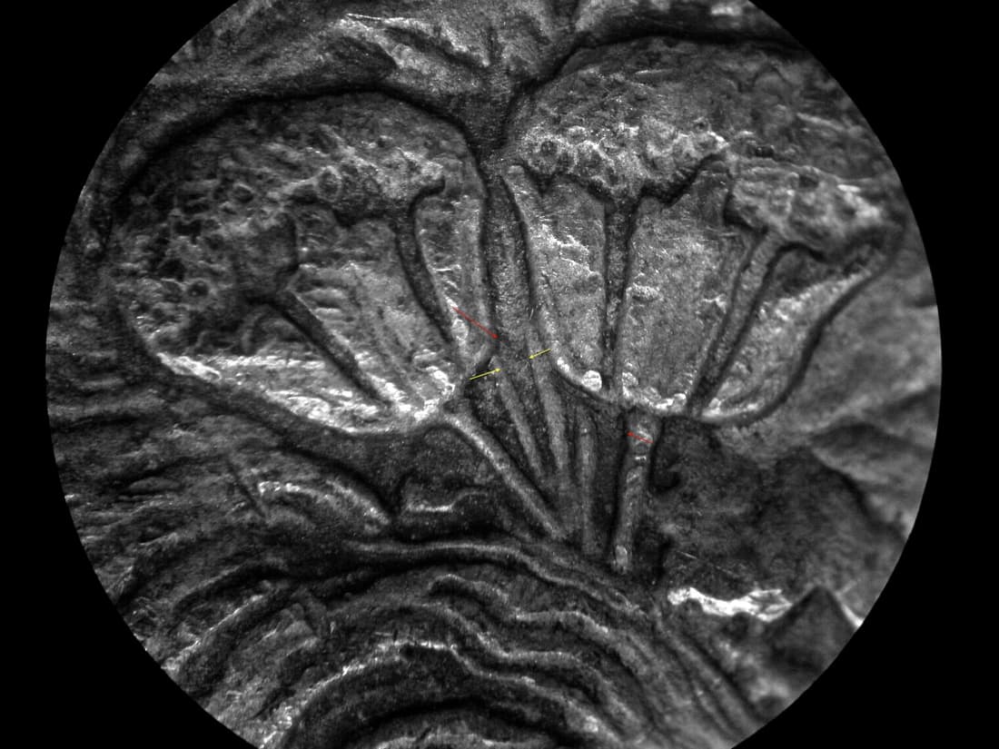 Image 10