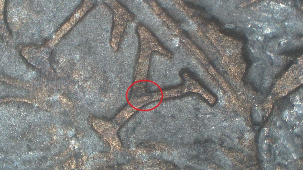 Image 10