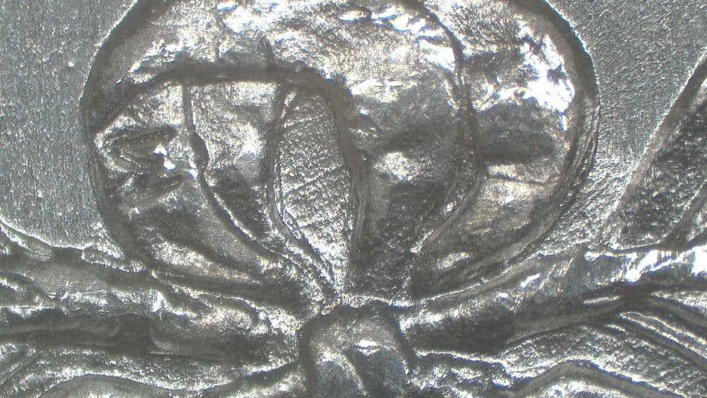 Image 9