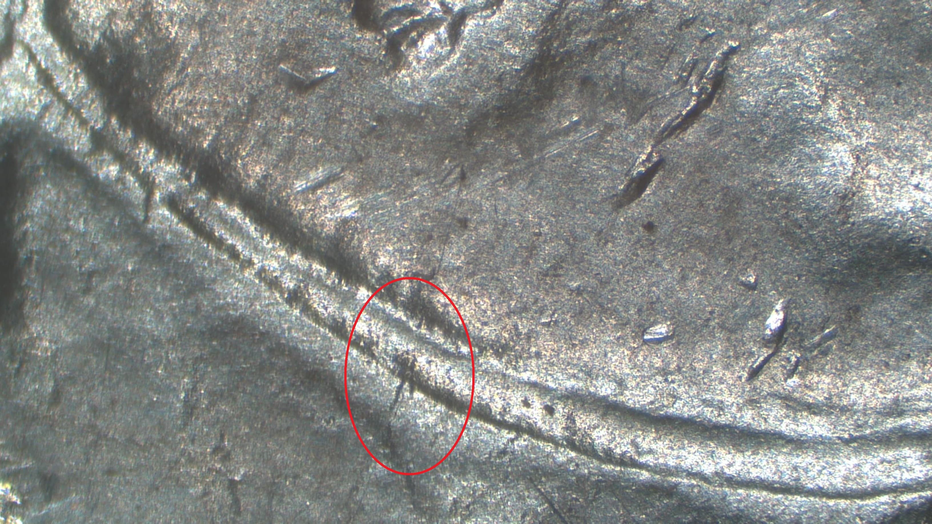 Image 9