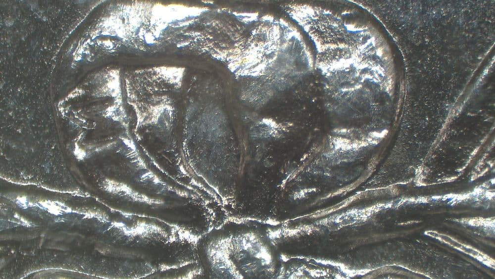 Image 10