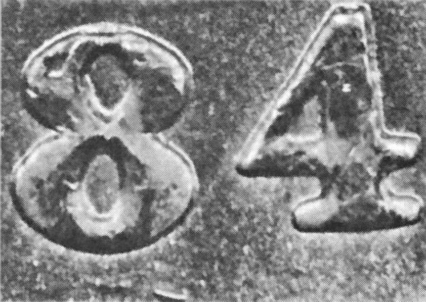1884-O VAM-18