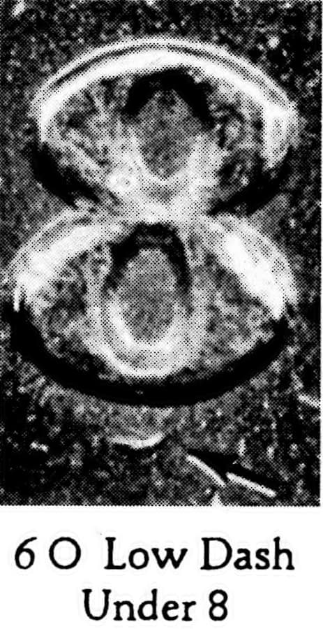 1884-P VAM-6