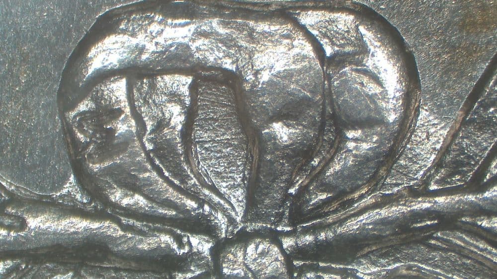 Image 9