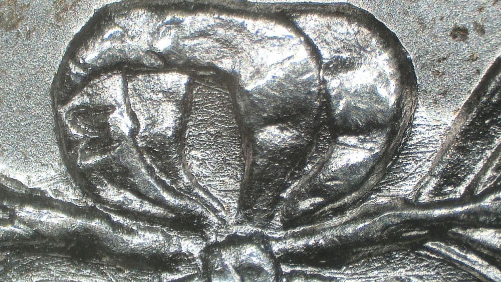 Image 10