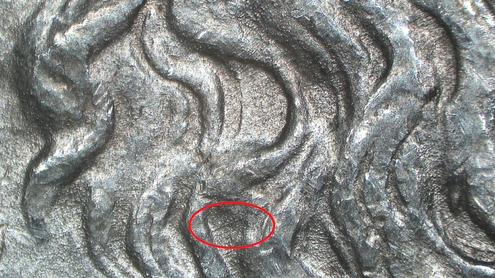 Image 9
