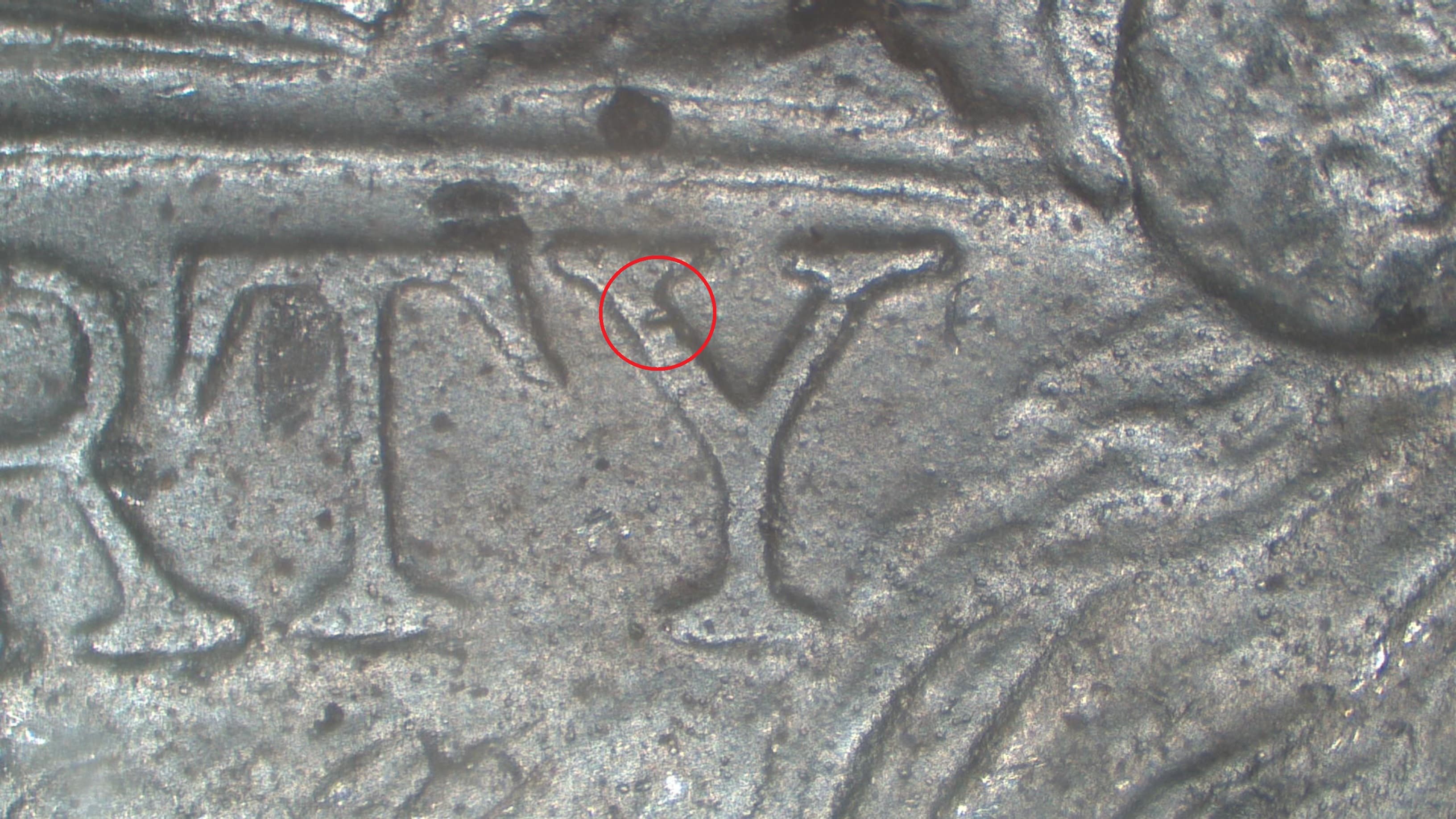 Image 10