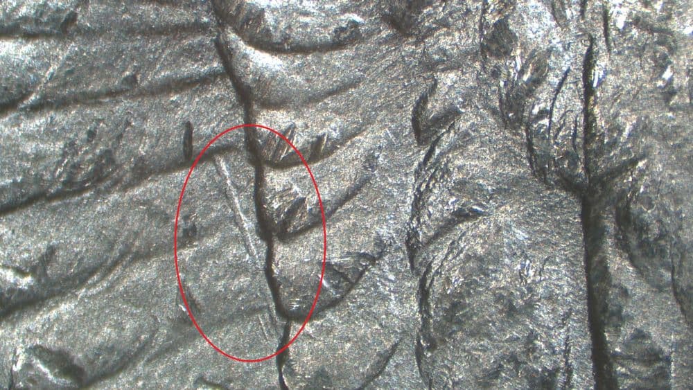 Image 9