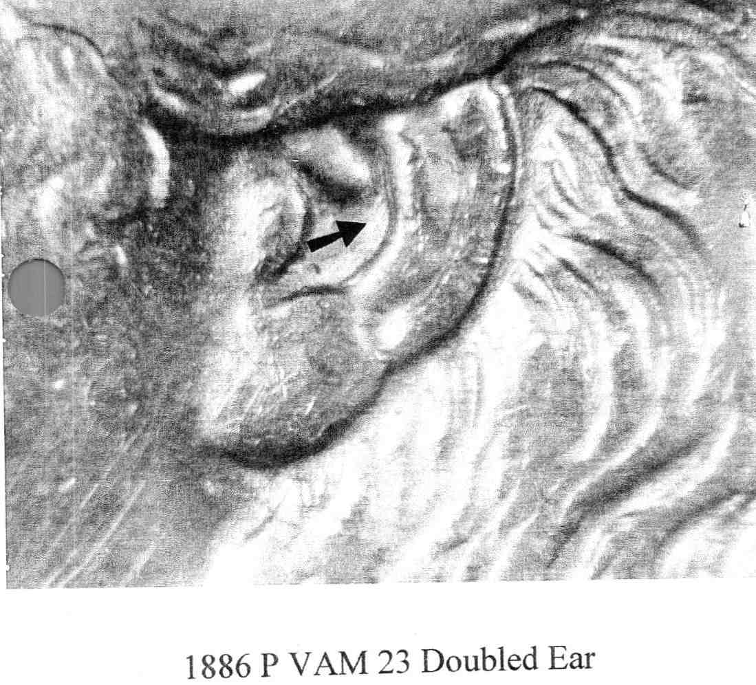 1886-P VAM-23