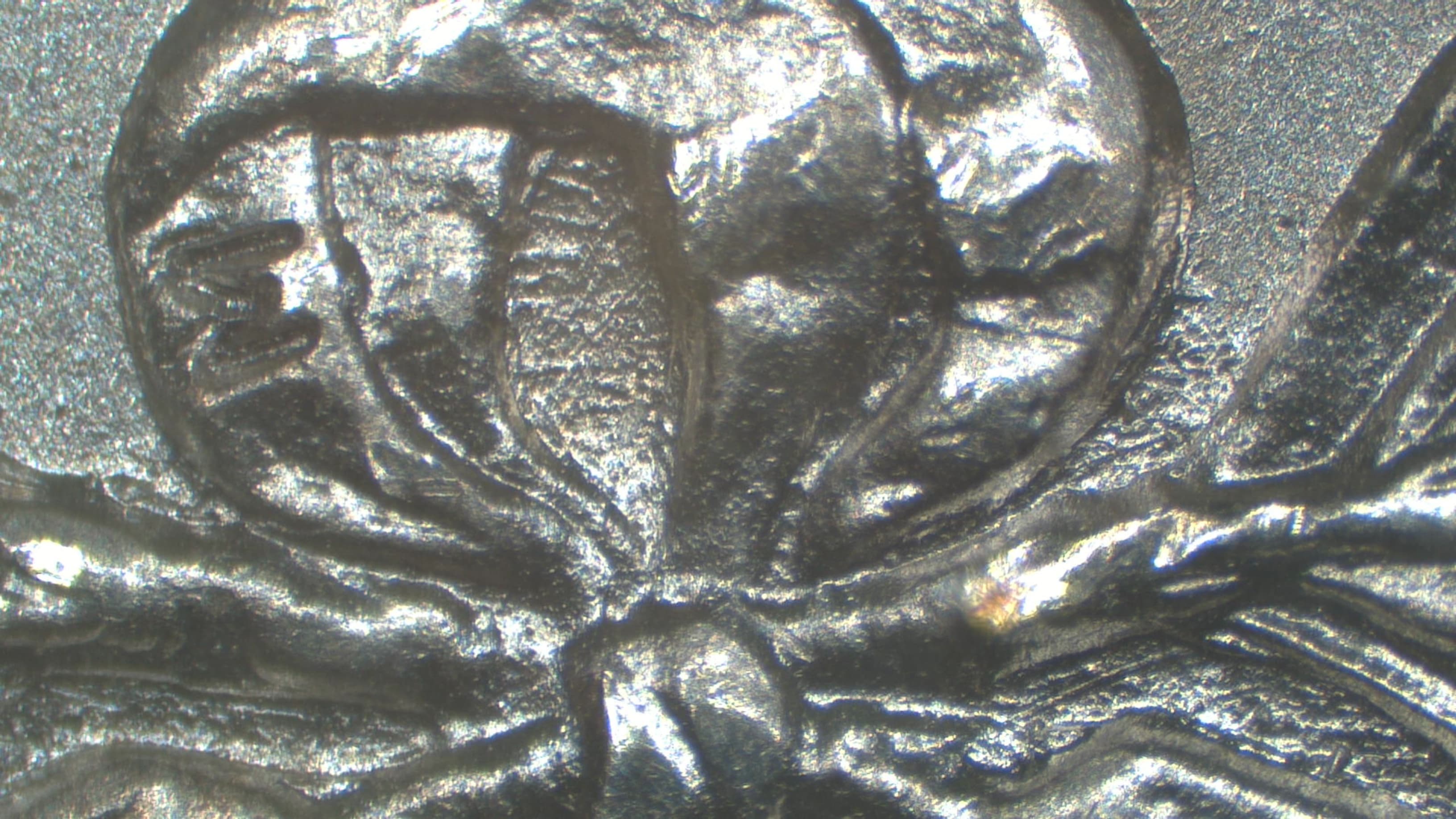 Image 10