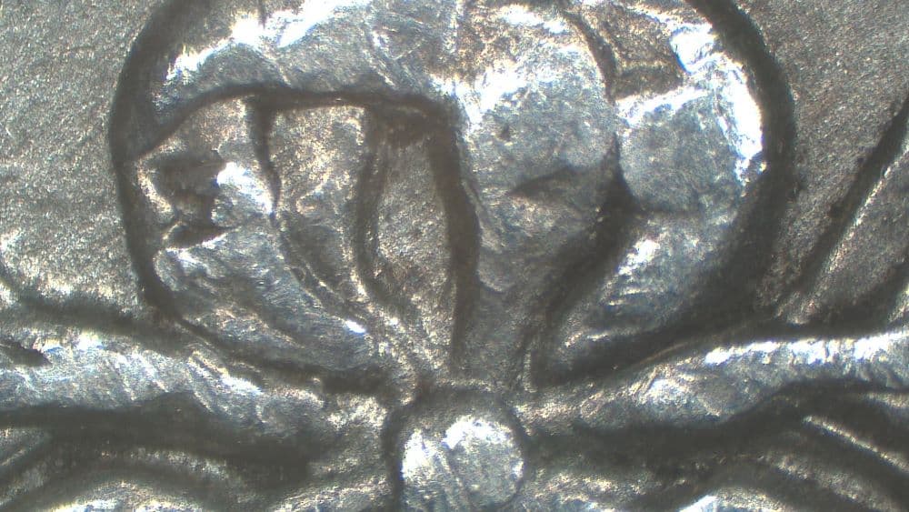 Image 9