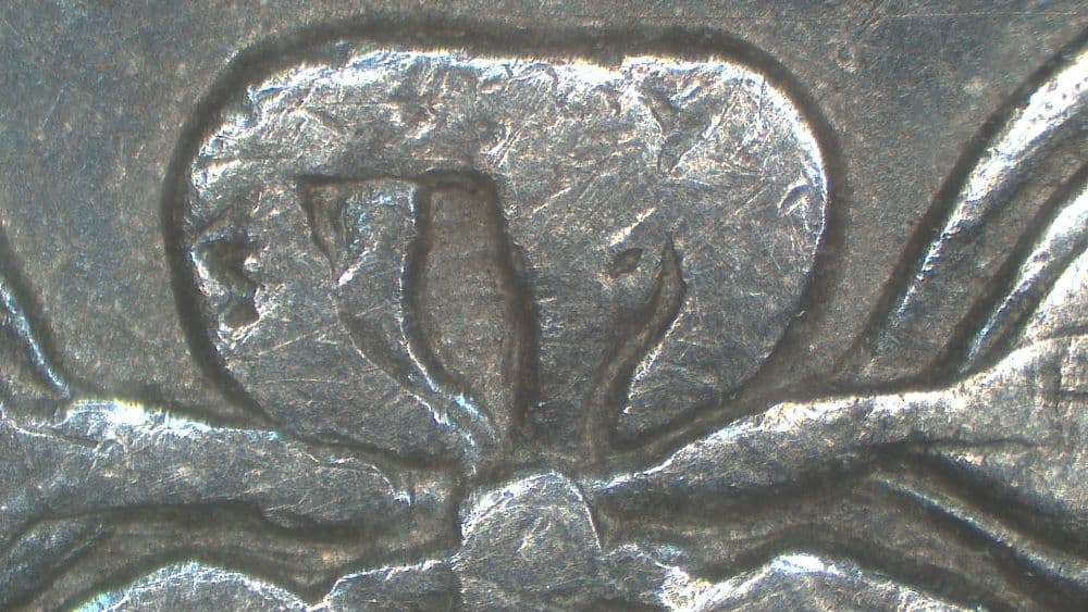 Image 10