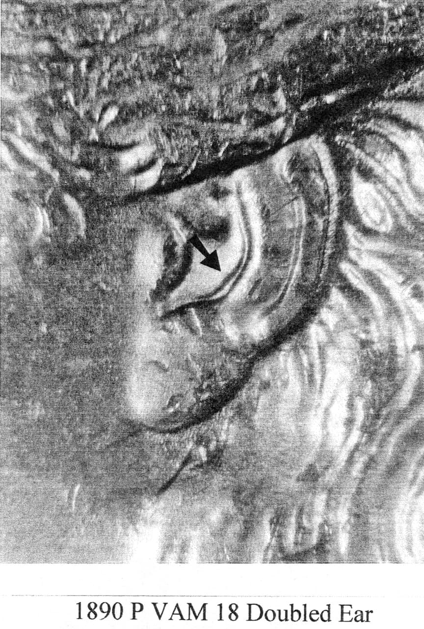 1890-P VAM-18