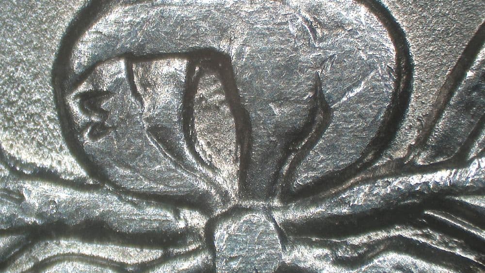 Image 9