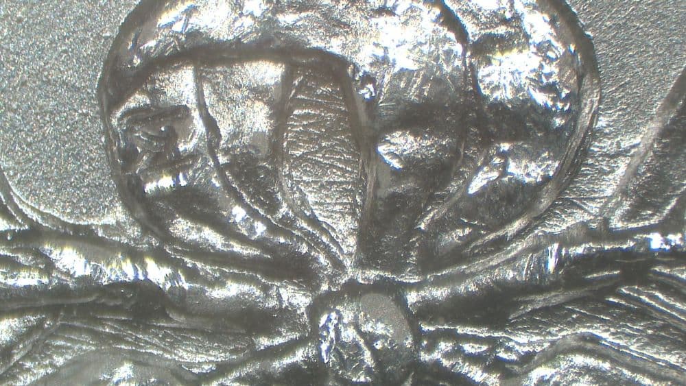 Image 10