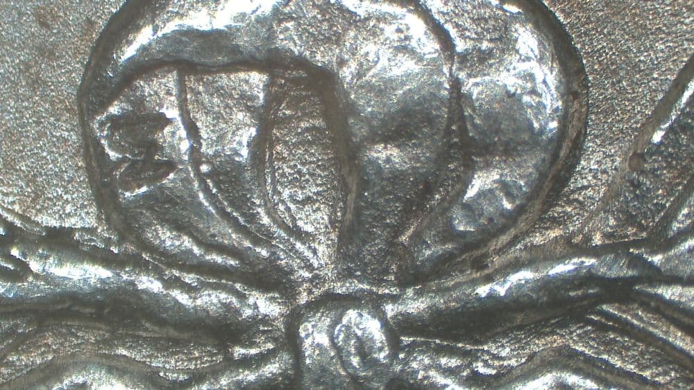 Image 10