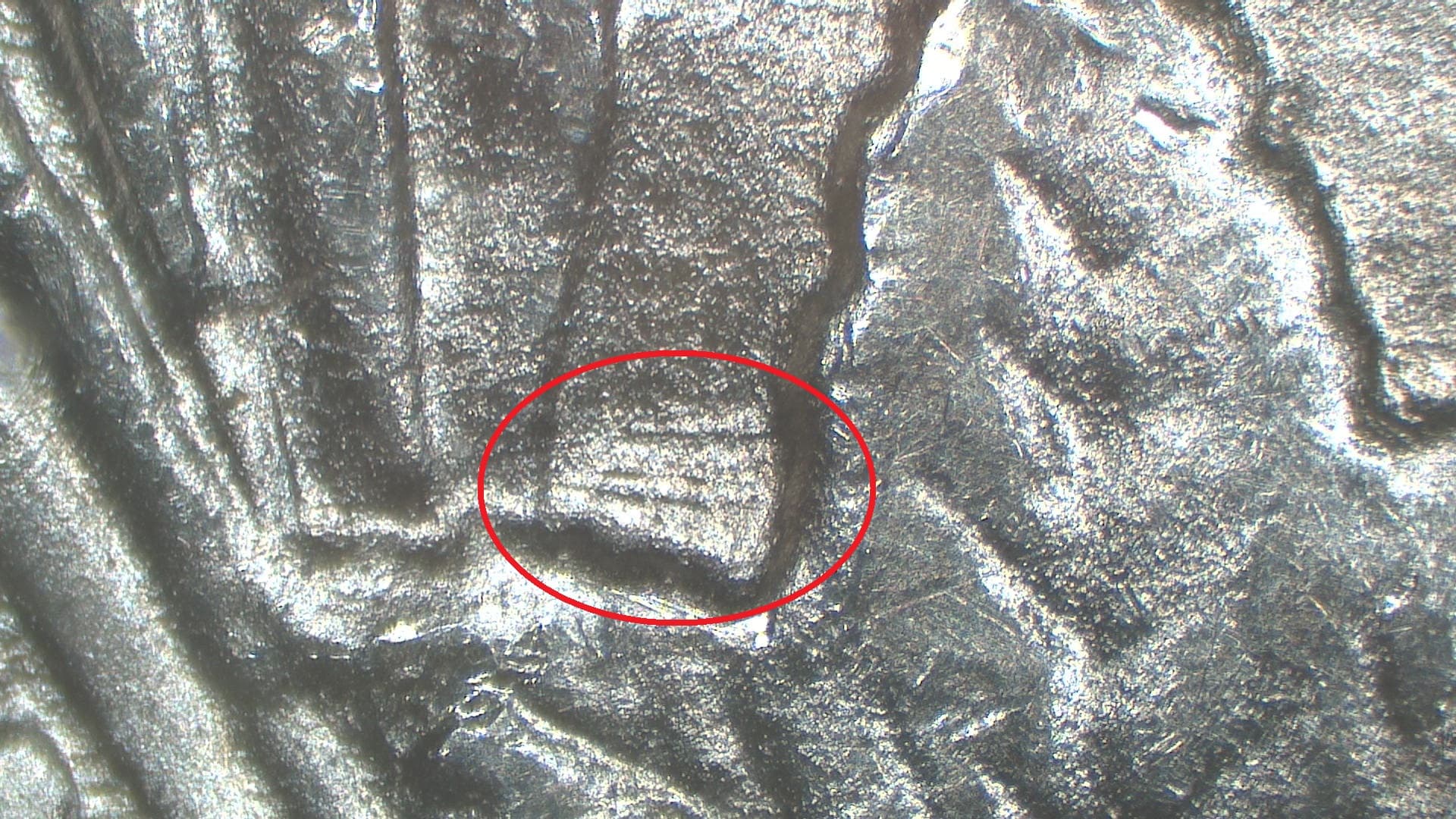 Image 9