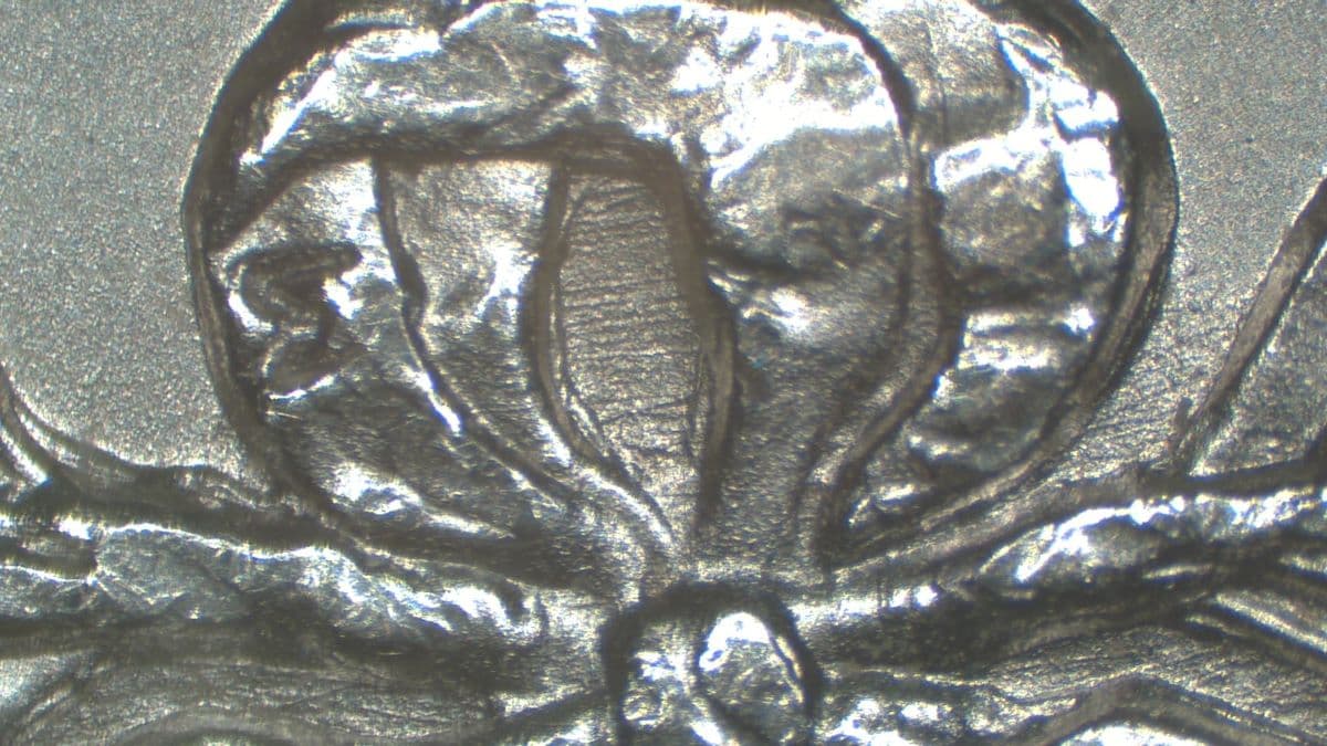 Image 9