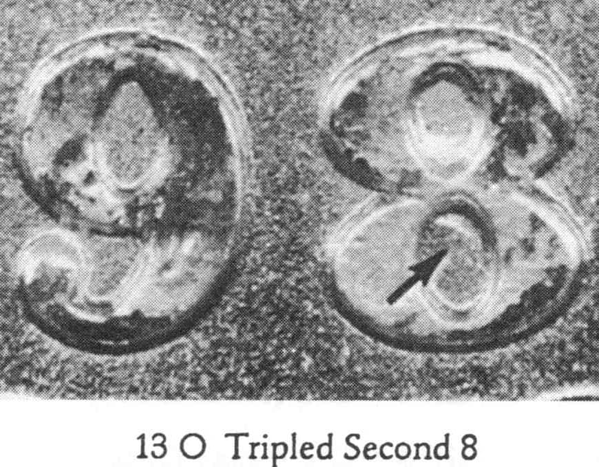 1898-O VAM-13