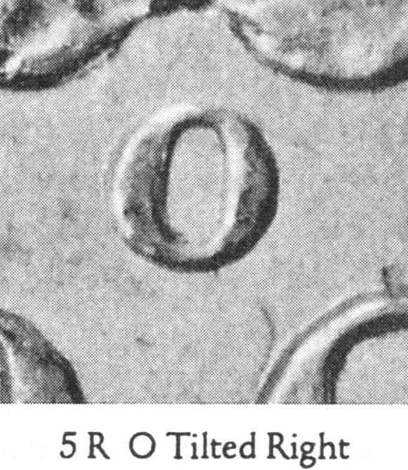1898-O VAM-5