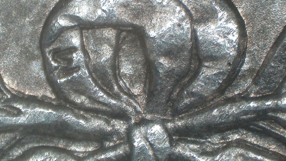 Image 9