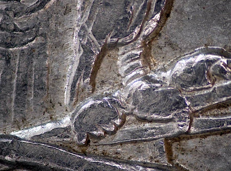 Image 9