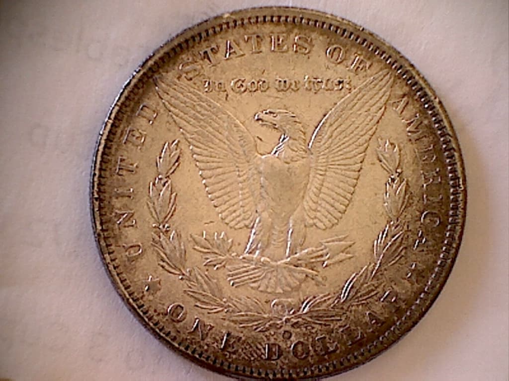 Image 7