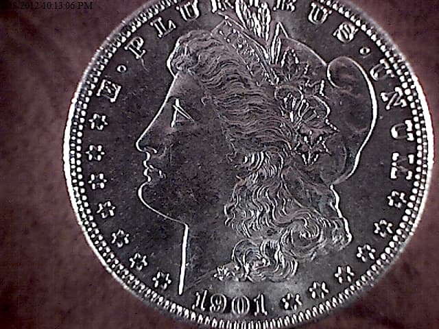 Image 7