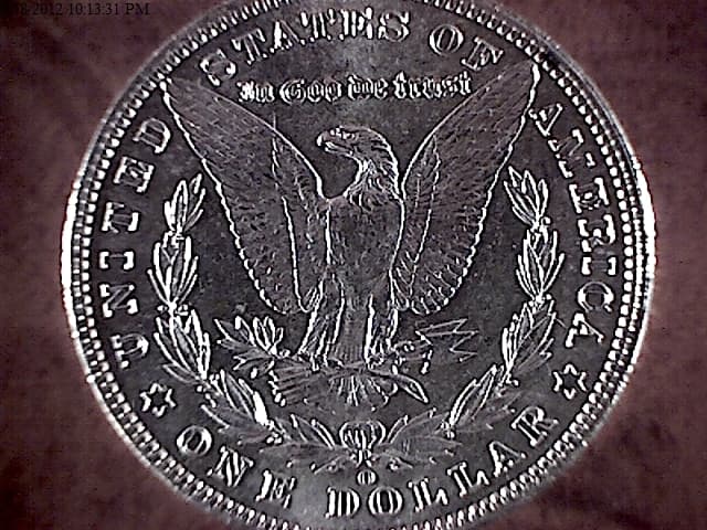 Image 8