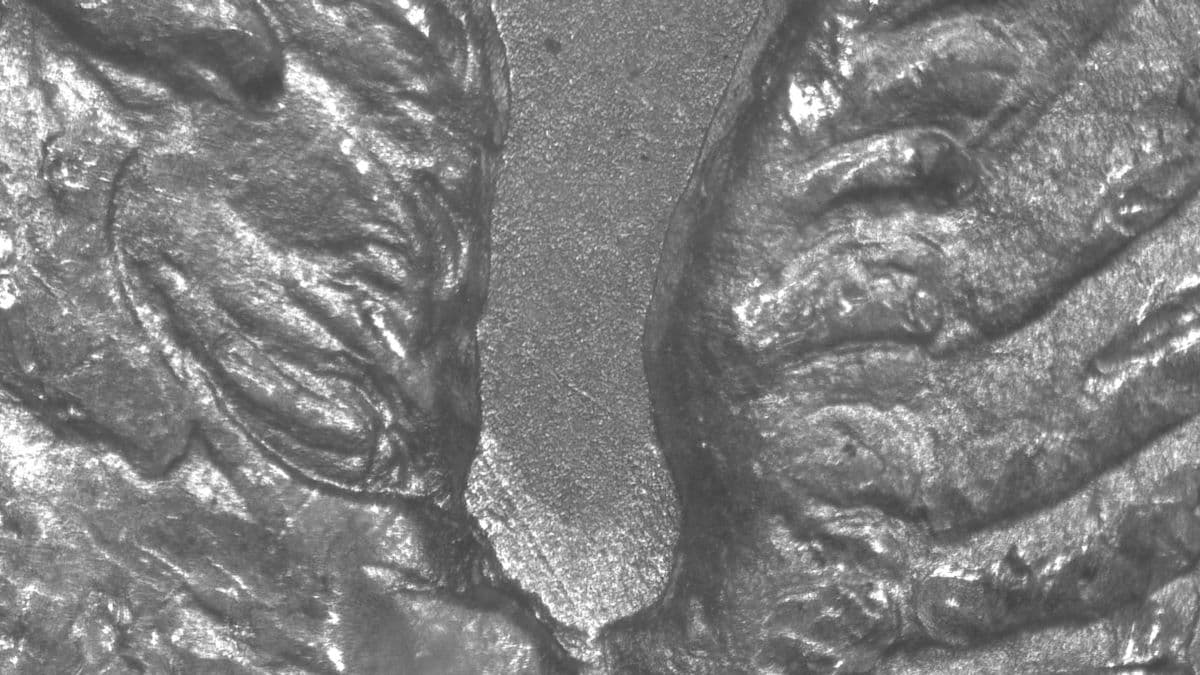 Image 9