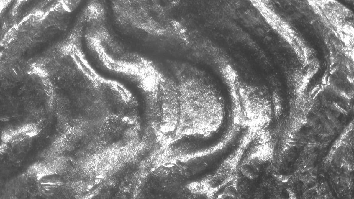 Image 9