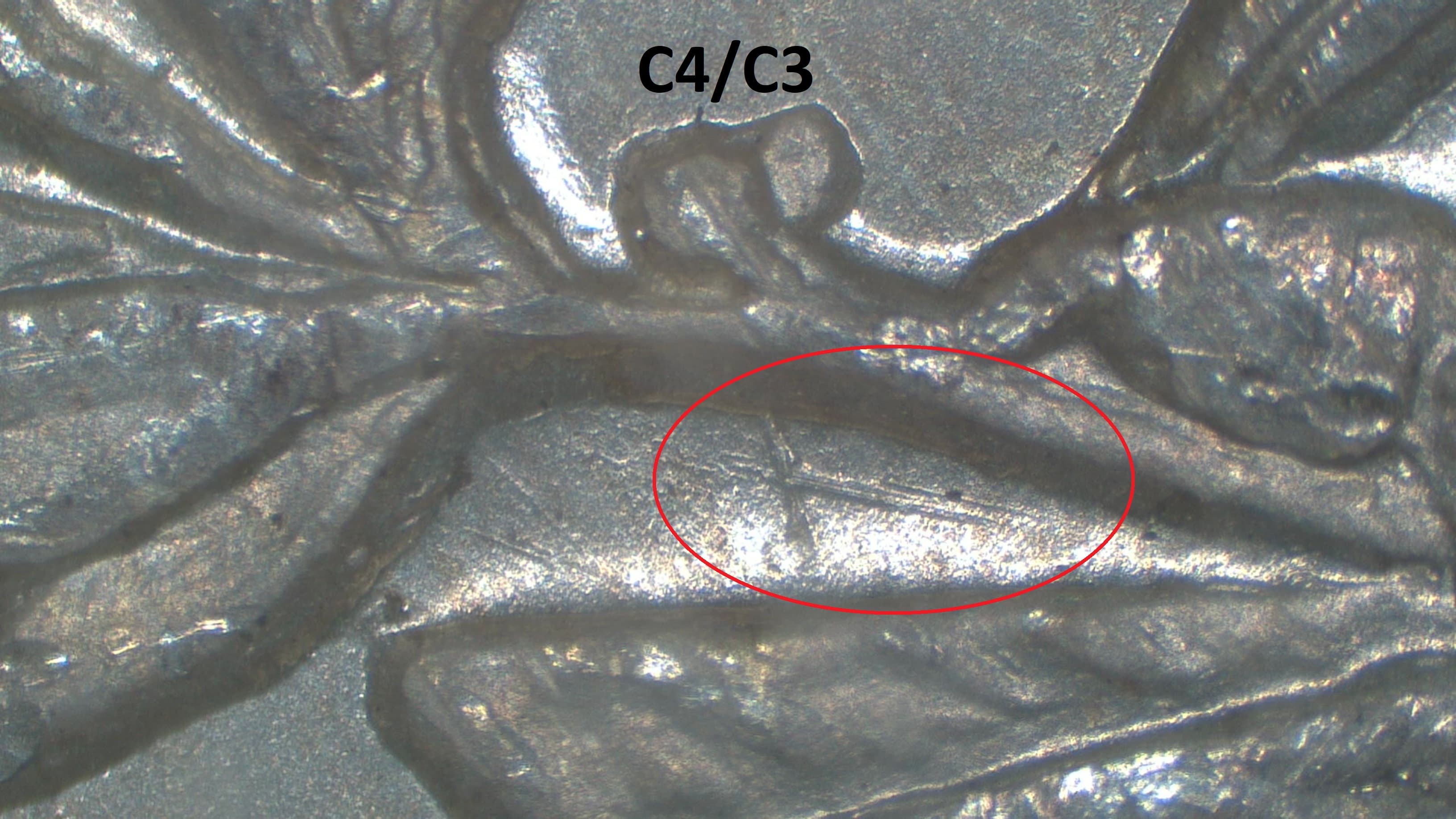 Image 9